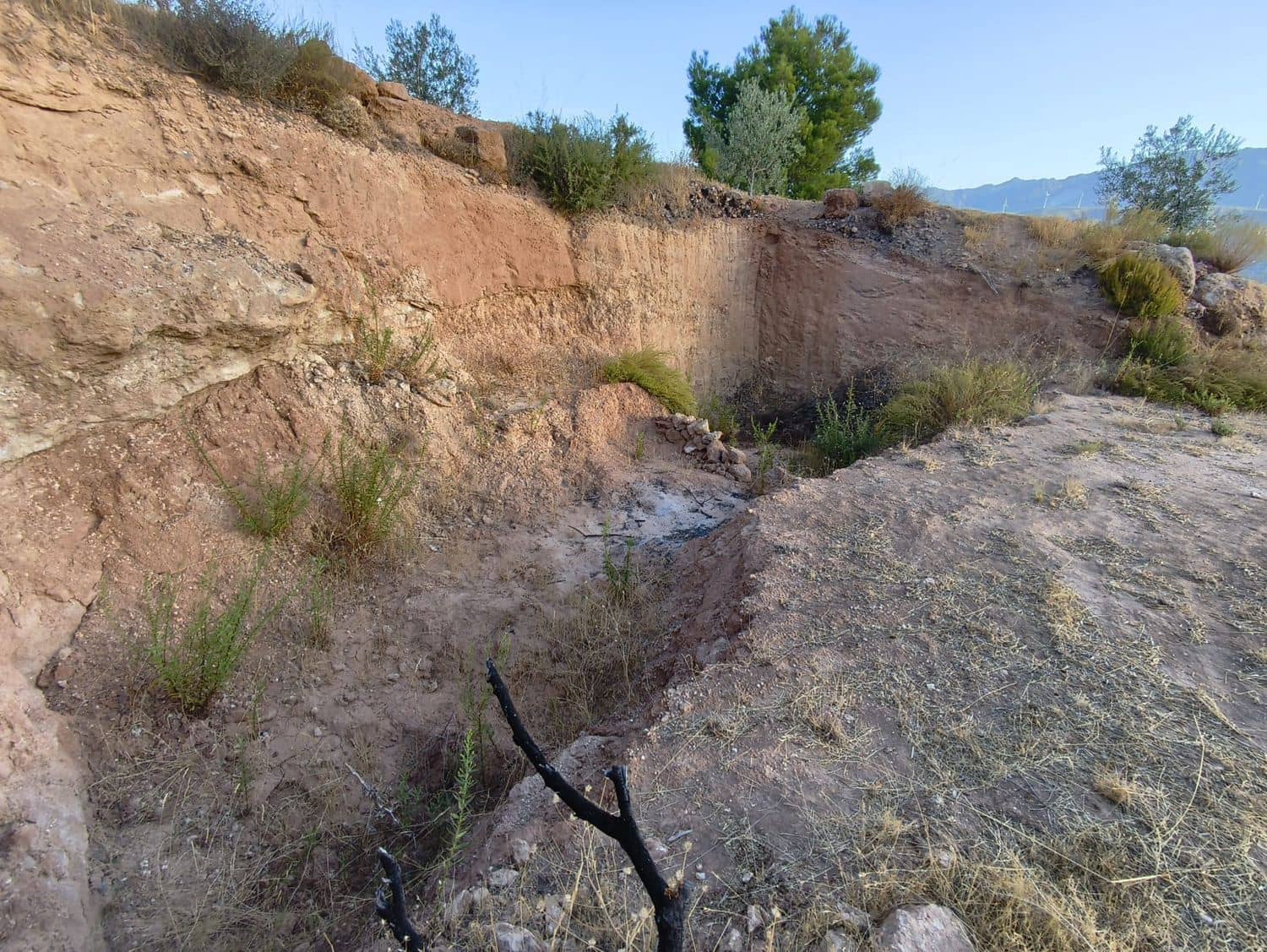 Terre non Aménagée à vendre à El Valle - 95 000 € (Ref: 9256751)