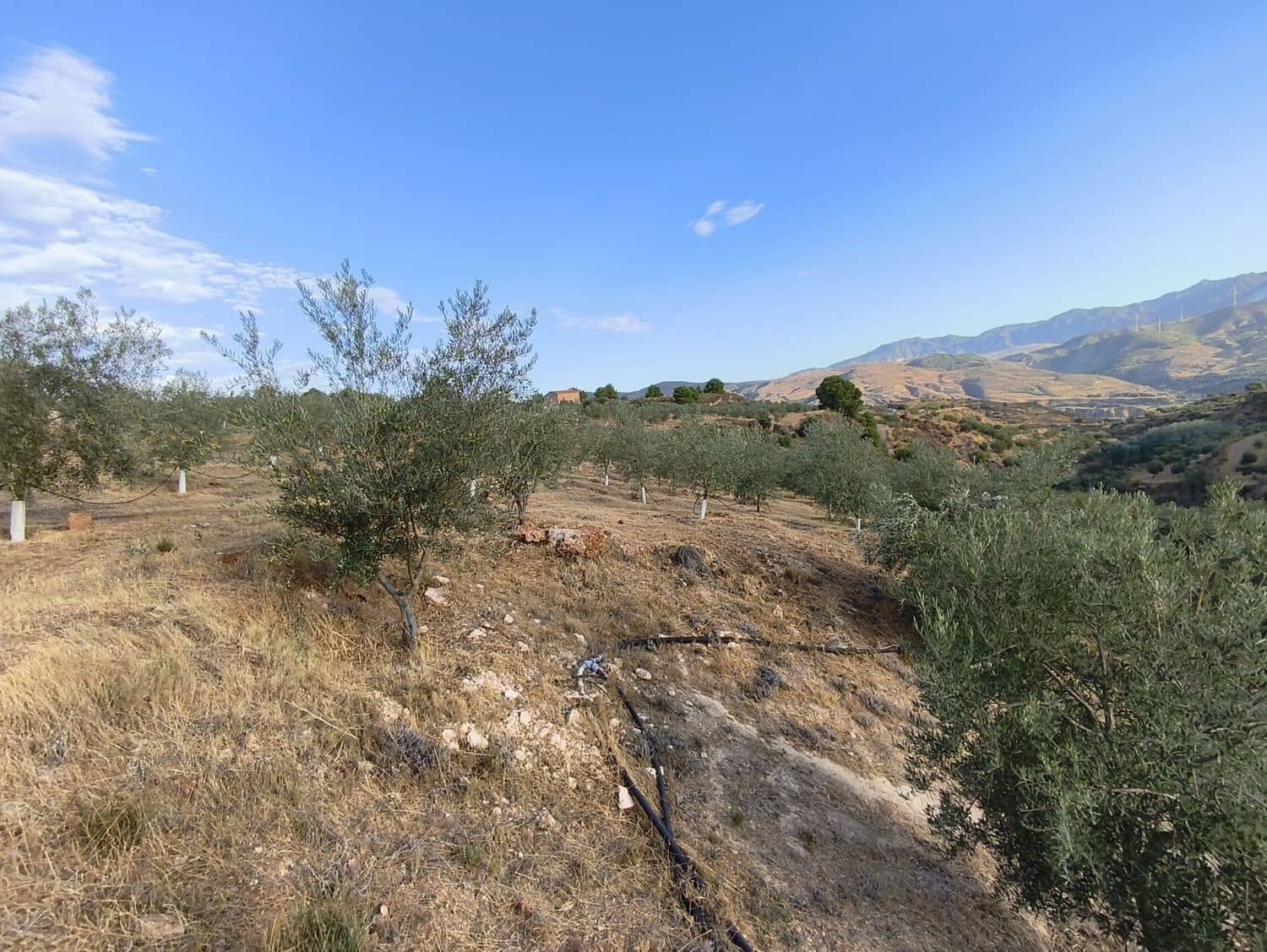 Terre non Aménagée à vendre à El Valle - 95 000 € (Ref: 9256751)