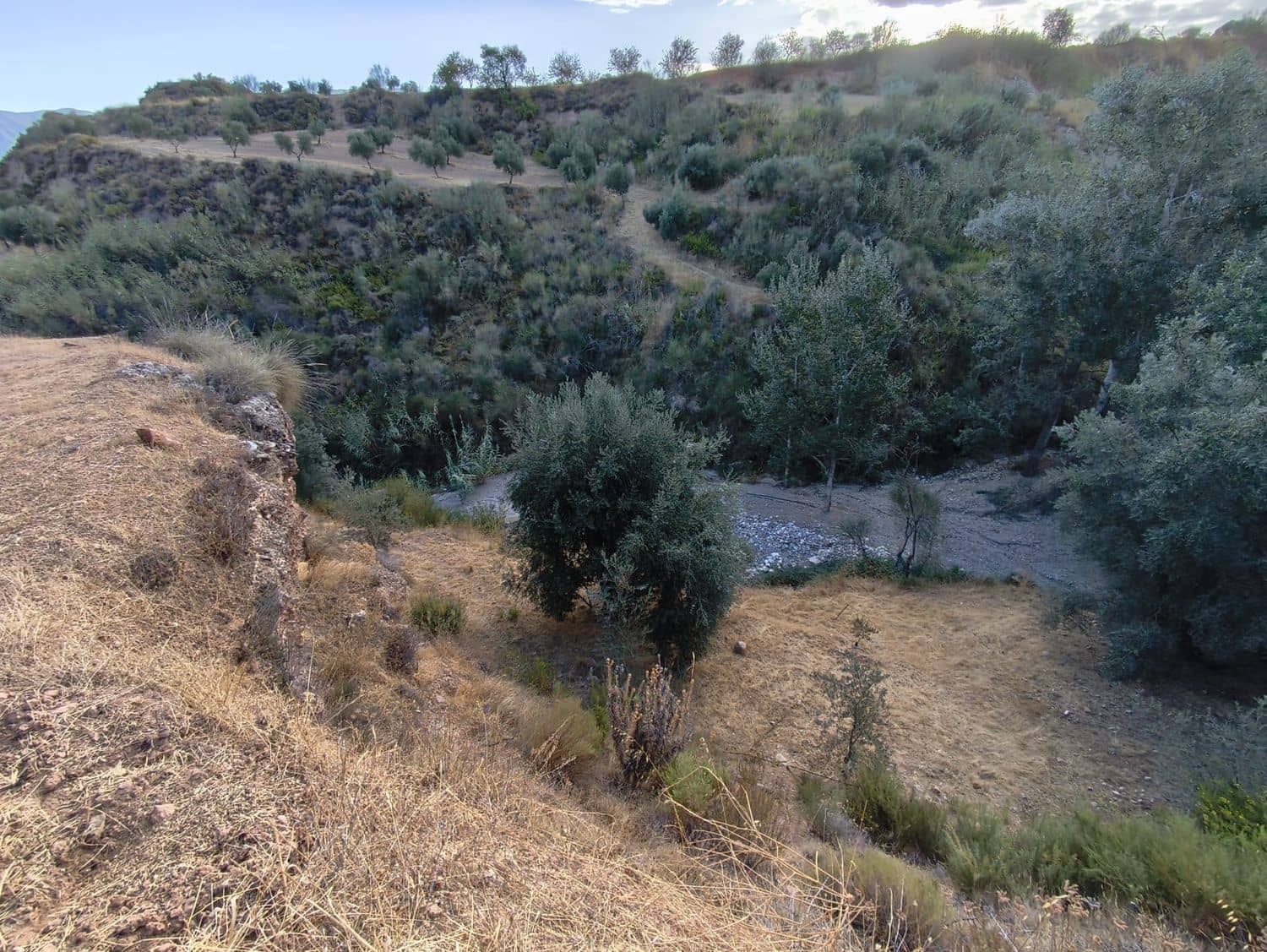 Terre non Aménagée à vendre à El Valle - 95 000 € (Ref: 9256751)