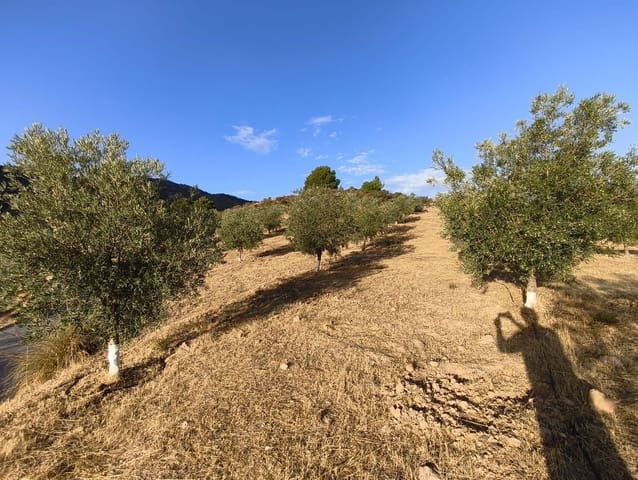 Ubebygd land til salgs i El Valle - € 95 000 (Ref: 9256751)