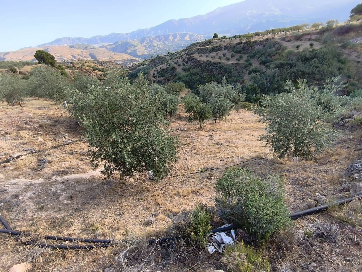 Terre non Aménagée à vendre à El Valle - 95 000 € (Ref: 9256751)