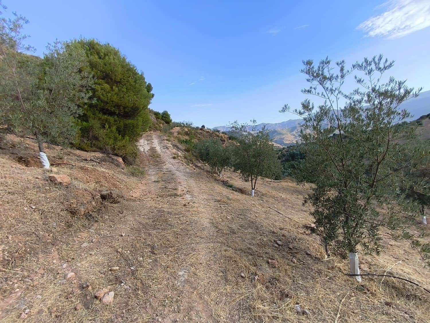 Terre non Aménagée à vendre à El Valle - 95 000 € (Ref: 9256751)