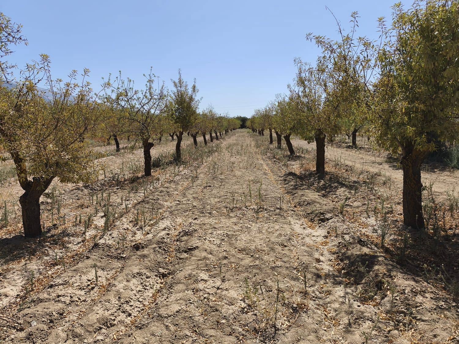Landgrundstück zu verkaufen in Durcal - 95.000 € (Ref: 9262185)