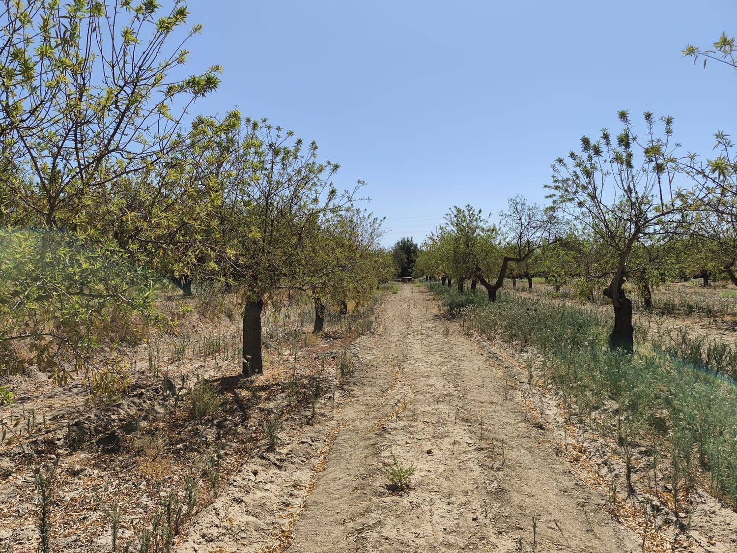 Landgrundstück zu verkaufen in Durcal - 95.000 € (Ref: 9262185)