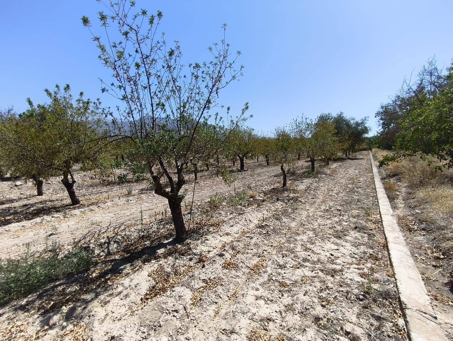 Landgrundstück zu verkaufen in Durcal - 95.000 € (Ref: 9262185)