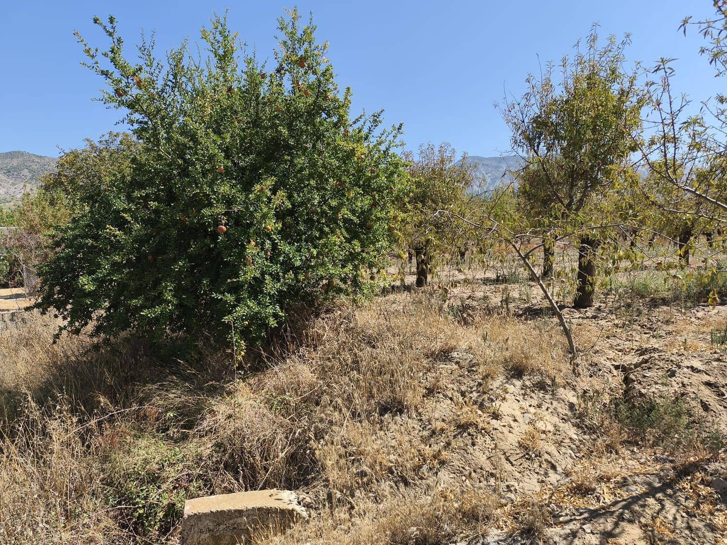 Landgrundstück zu verkaufen in Durcal - 95.000 € (Ref: 9262185)