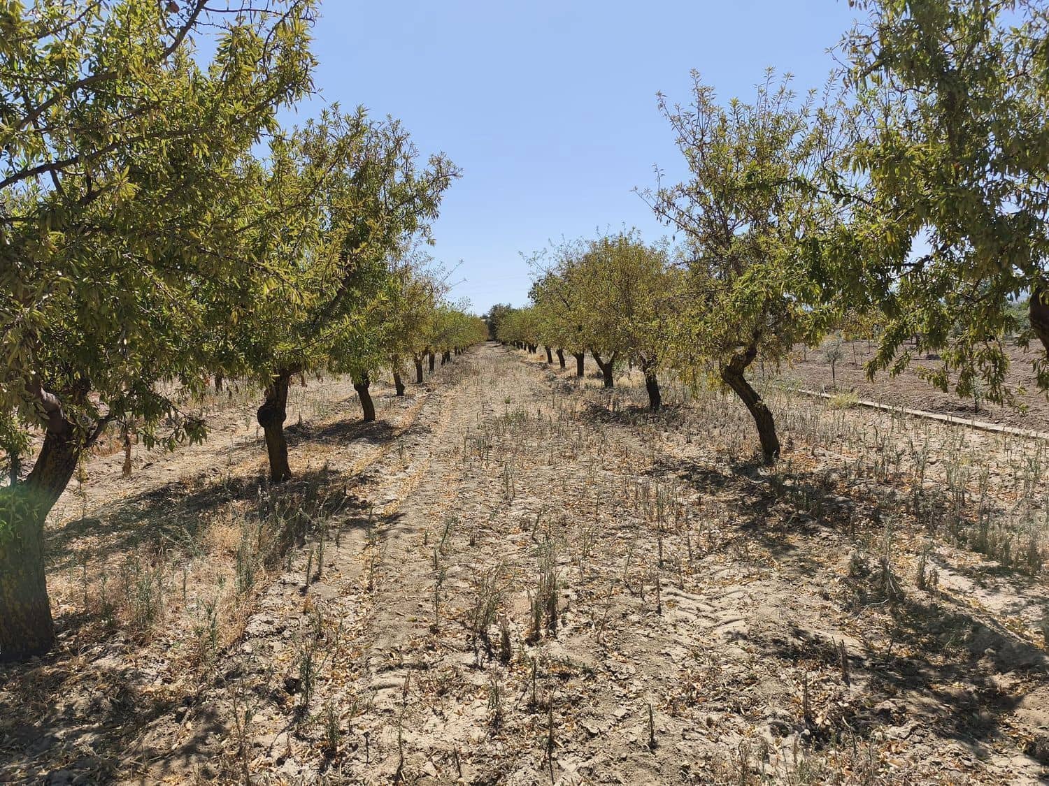 Landgrundstück zu verkaufen in Durcal - 95.000 € (Ref: 9262185)