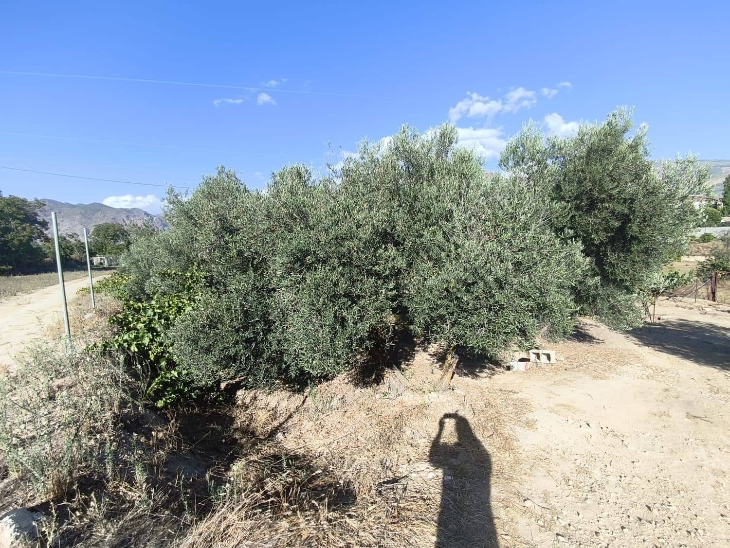 Ubebygd land til salgs i Durcal - € 10 000 (Ref: 9264002)