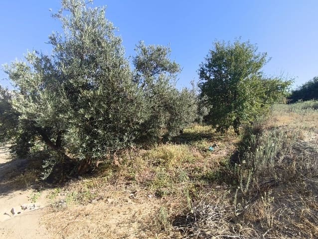 Undeveloped Land for sale in Dúrcal - € 10,000 (Ref: 9264002)