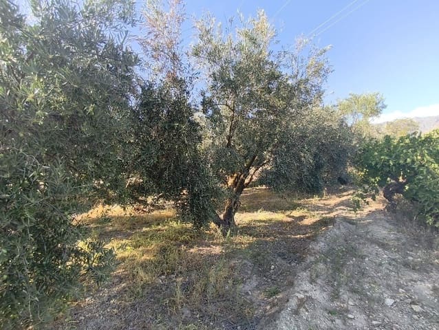 Undeveloped Land for sale in Dúrcal - € 10,000 (Ref: 9264002)