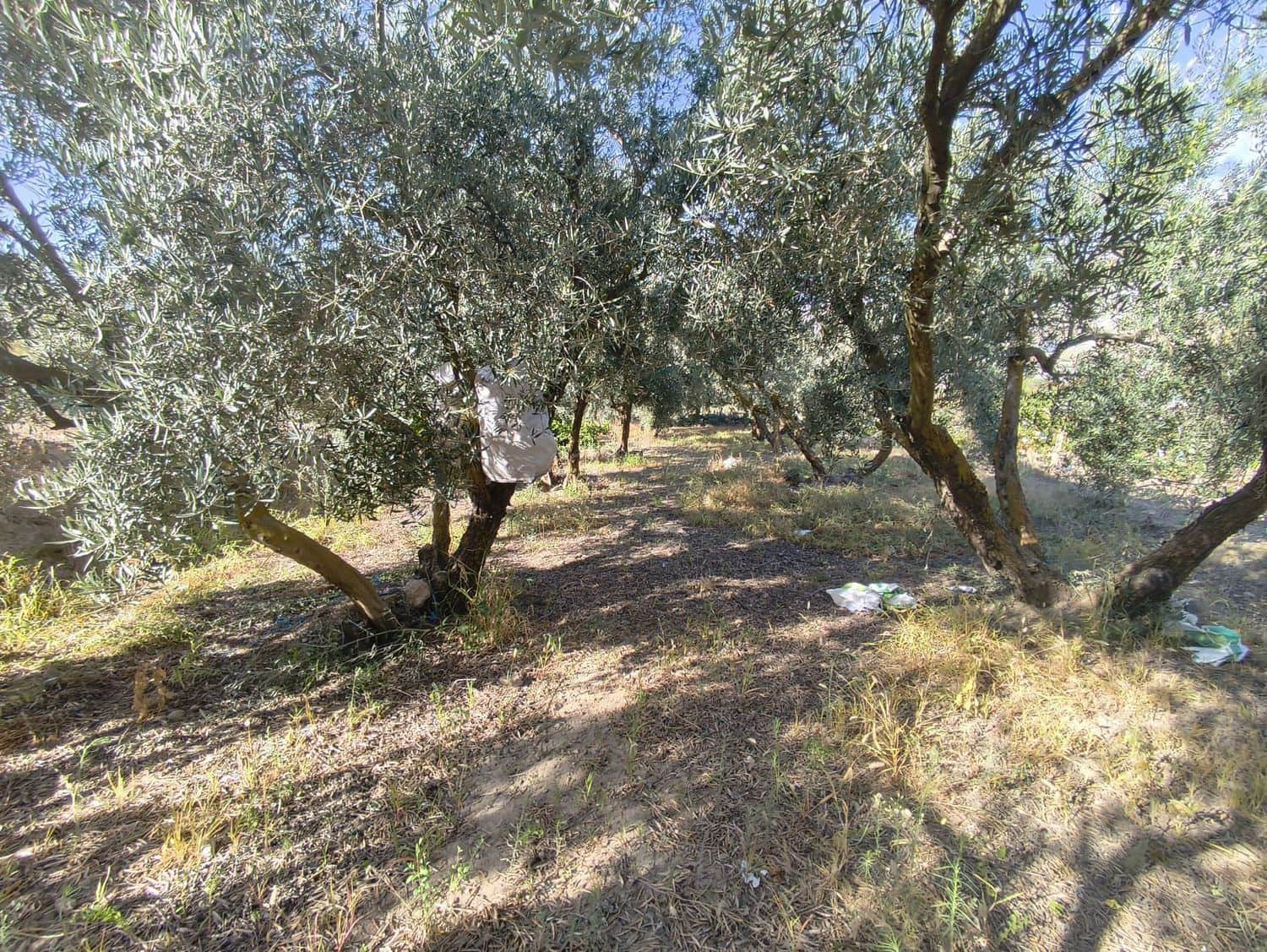 Ubebygd land til salgs i Durcal - € 10 000 (Ref: 9264002)