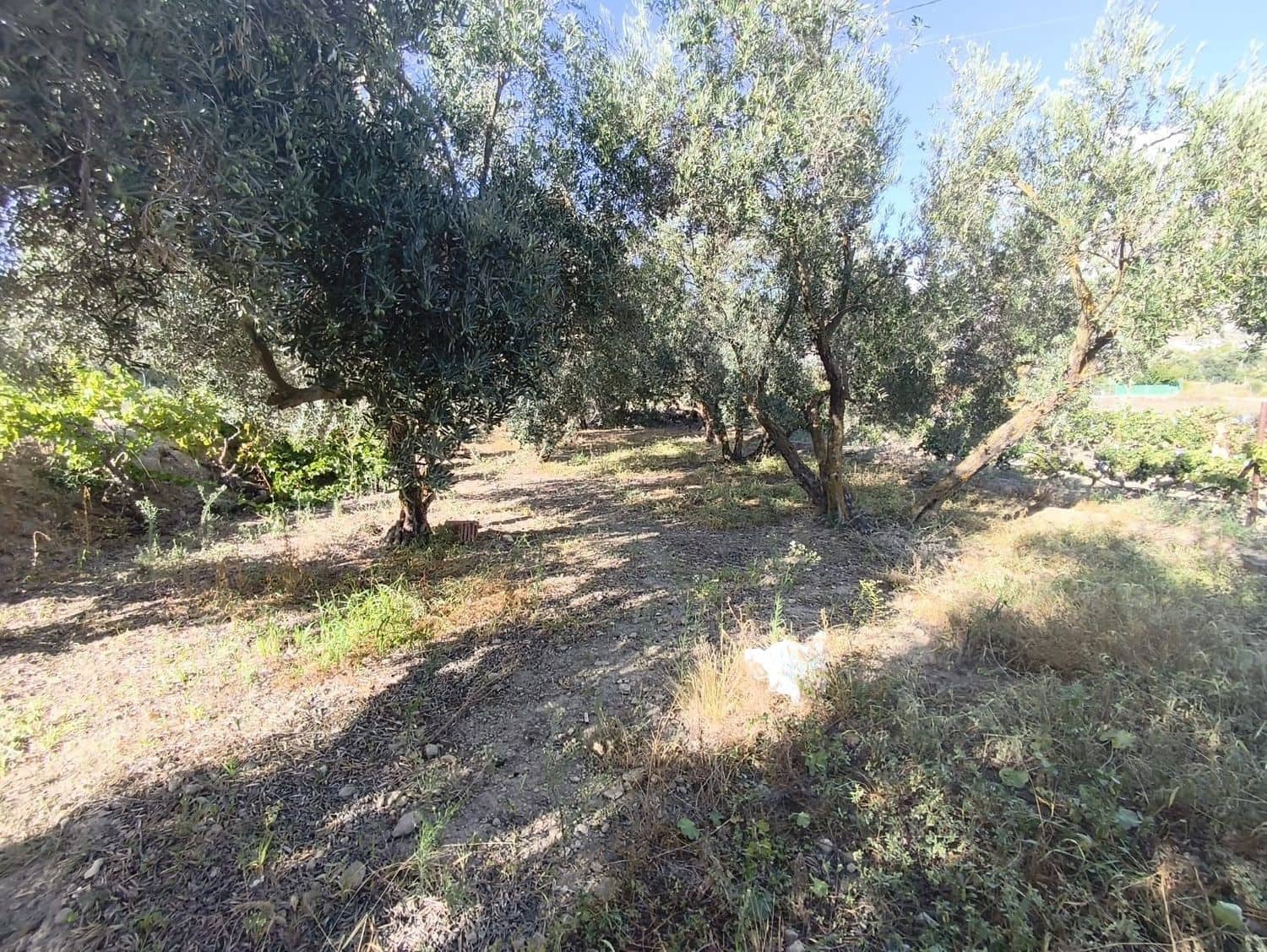 Ubebygd land til salgs i Durcal - € 10 000 (Ref: 9264002)