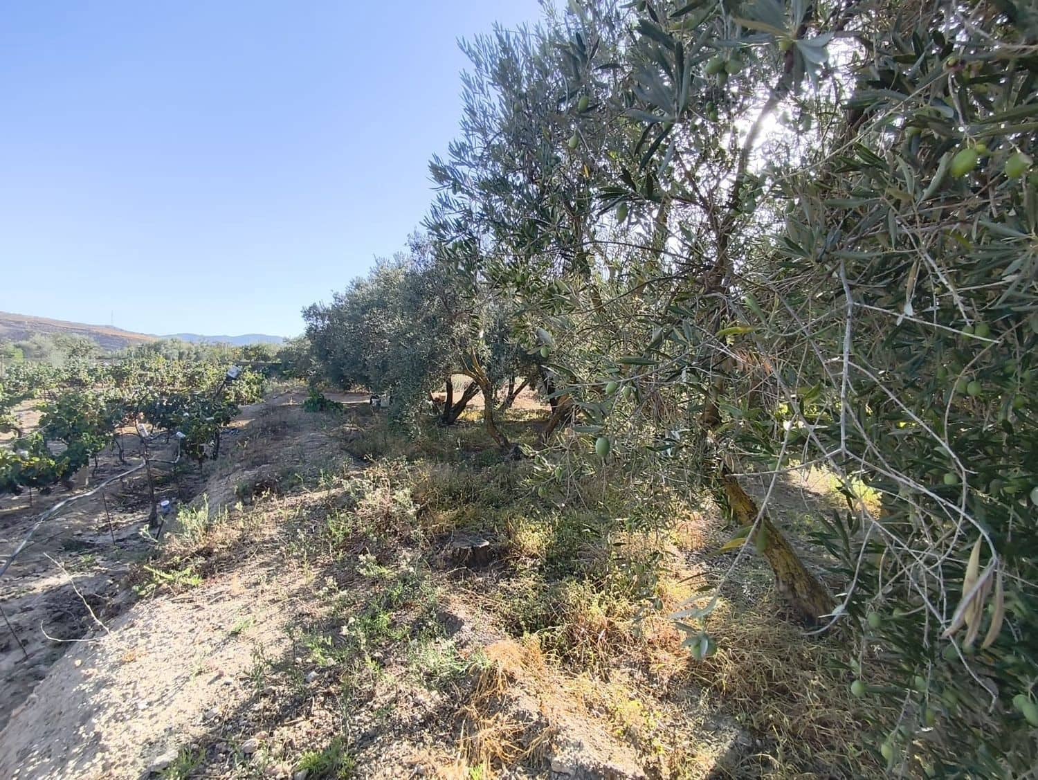 Ubebygd land til salgs i Durcal - € 10 000 (Ref: 9264002)