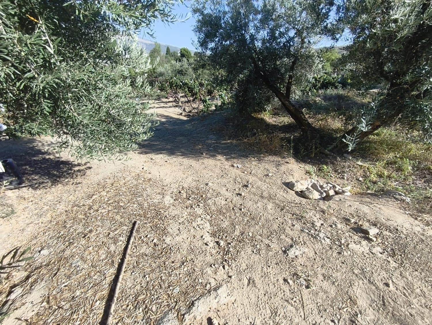 Ubebygd land til salgs i Durcal - € 10 000 (Ref: 9264002)