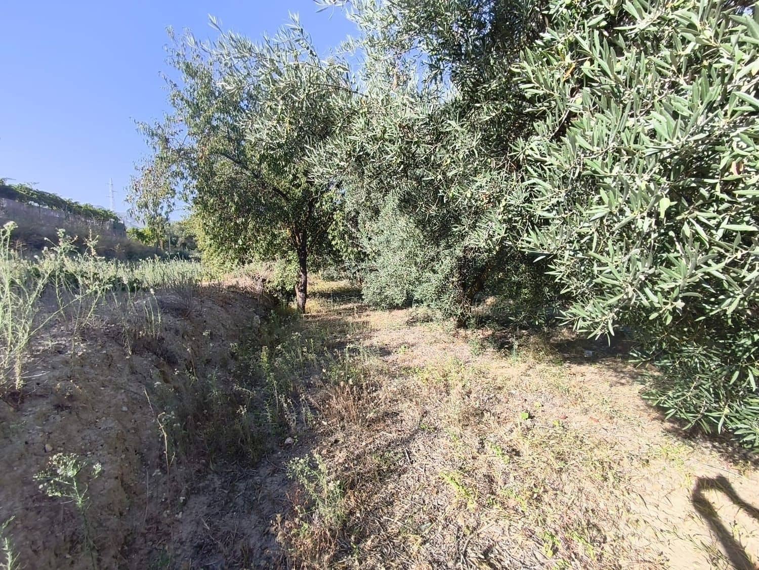 Ubebygd land til salgs i Durcal - € 10 000 (Ref: 9264002)