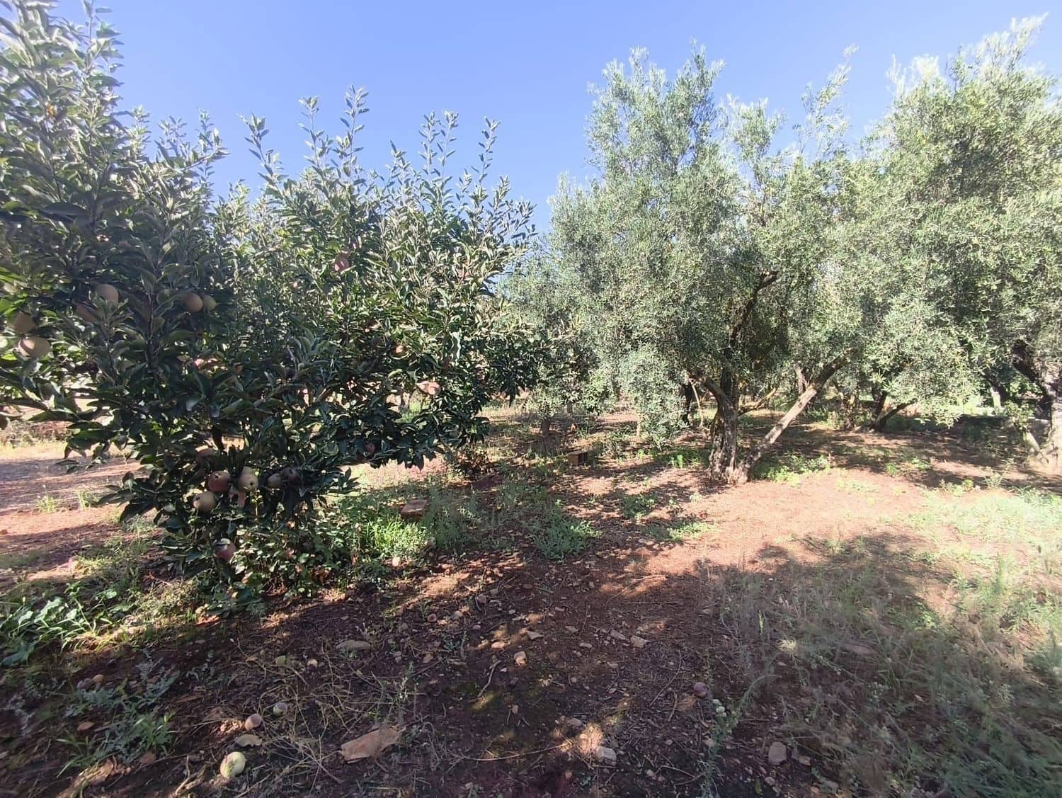 Undeveloped Land for sale in Durcal - € 10,000 (Ref: 9264003)