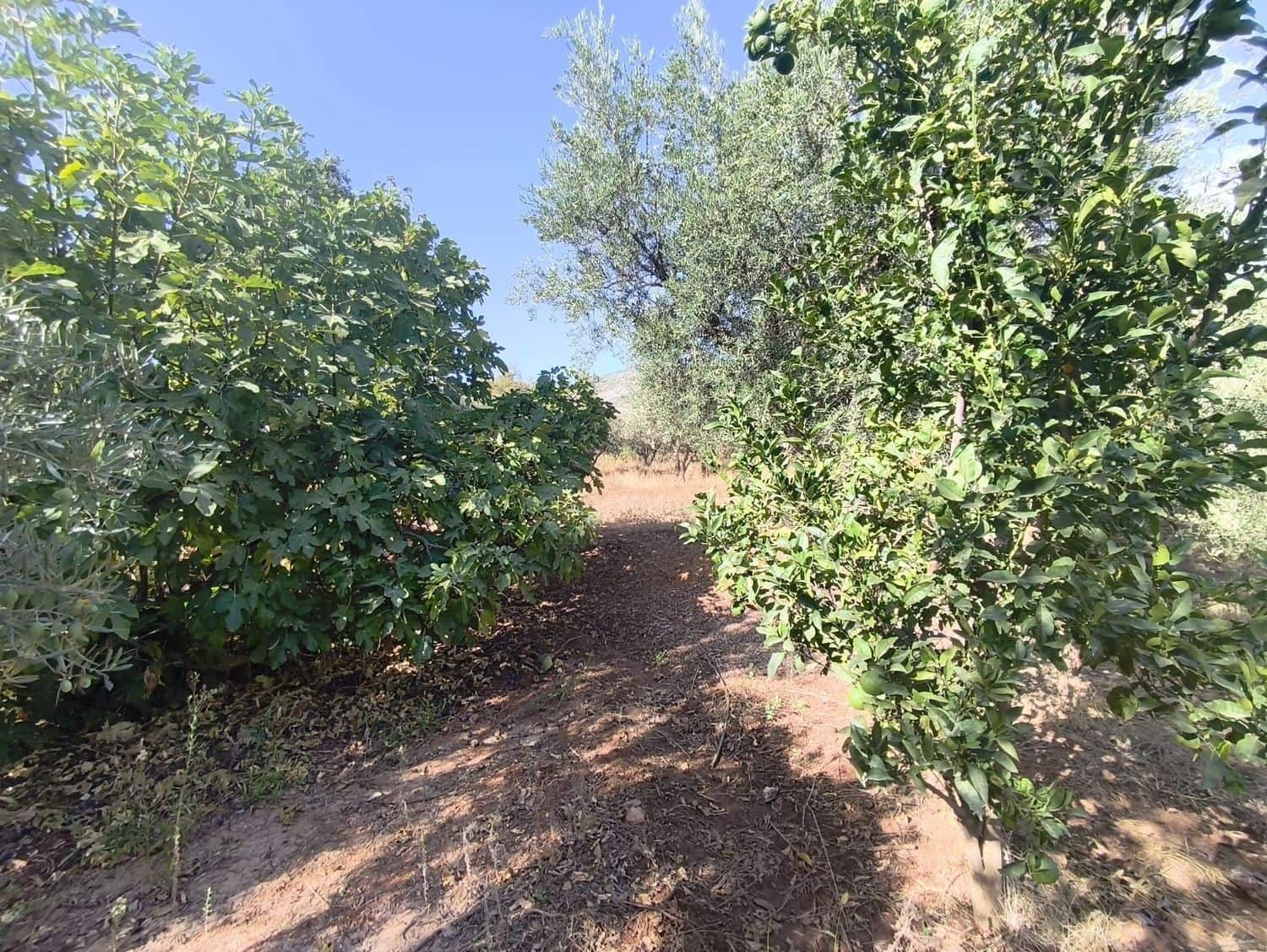 Undeveloped Land for sale in Durcal - € 10,000 (Ref: 9264003)