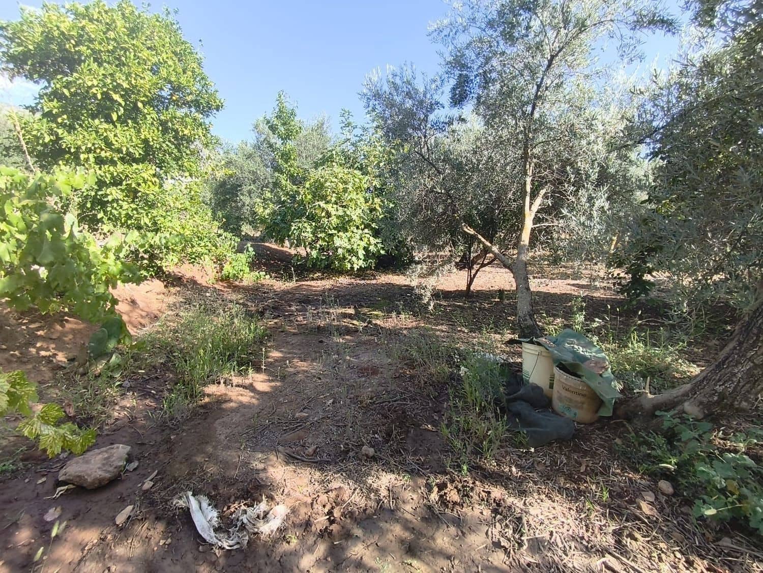 Undeveloped Land for sale in Durcal - € 10,000 (Ref: 9264003)