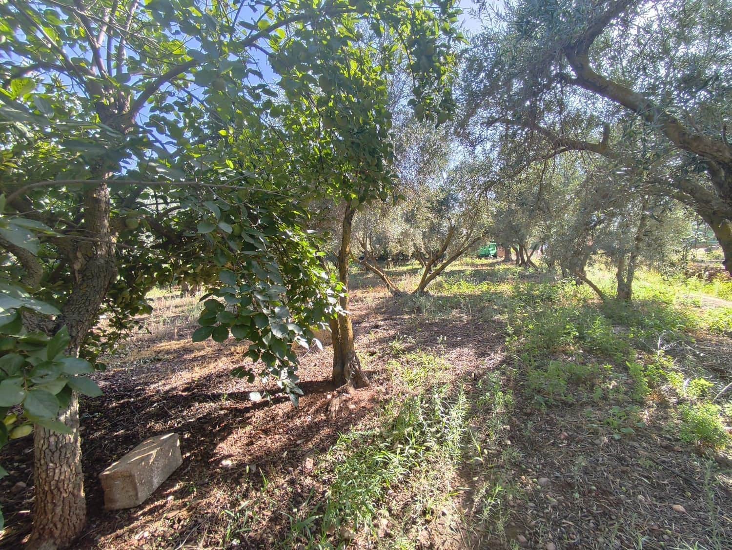 Undeveloped Land for sale in Durcal - € 10,000 (Ref: 9264003)