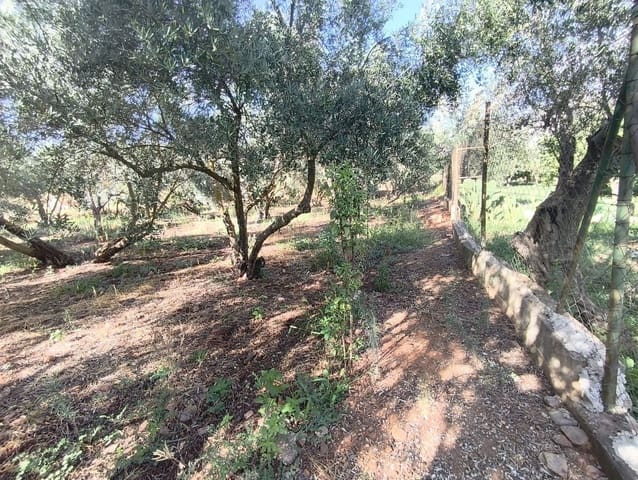 Undeveloped Land for sale in Dúrcal - € 10,000 (Ref: 9264003)