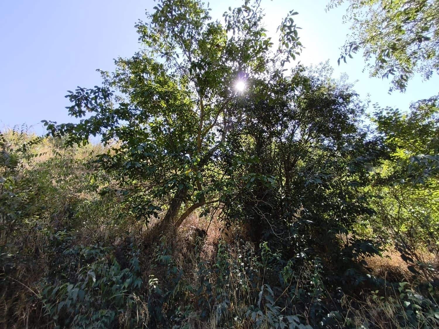 Ubebygd land til salgs i Durcal - € 18 000 (Ref: 9264004)