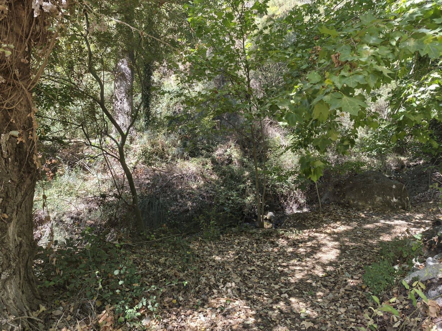 Ubebygd land til salgs i Durcal - € 18 000 (Ref: 9264004)