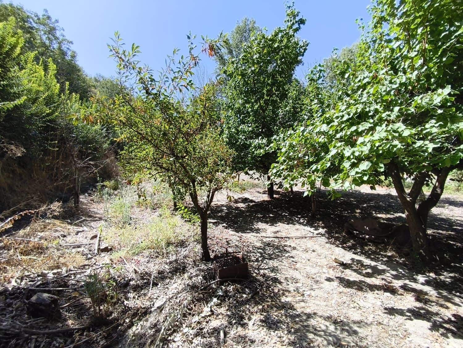 Ubebygd land til salgs i Durcal - € 18 000 (Ref: 9264004)