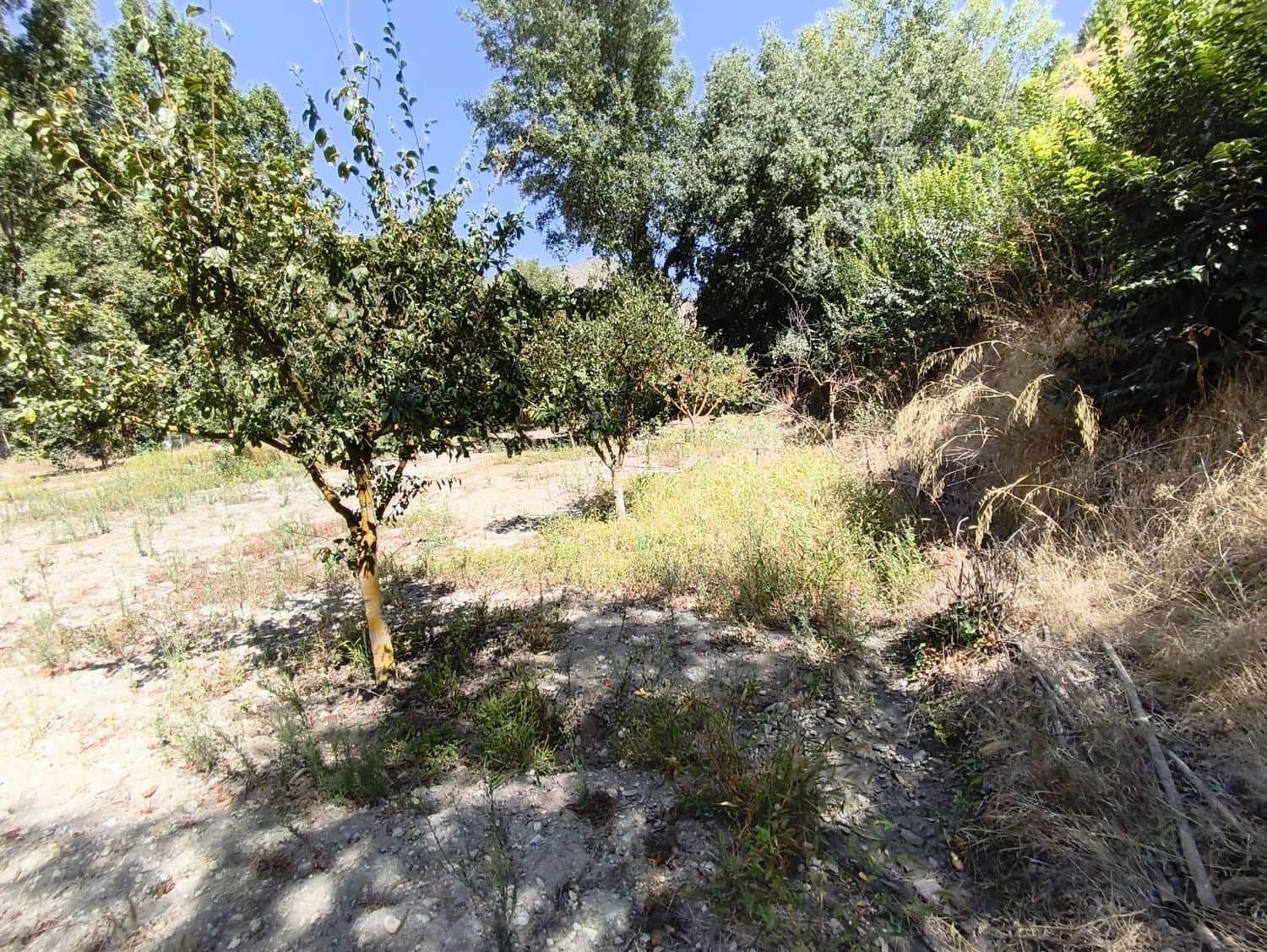 Ubebygd land til salgs i Durcal - € 18 000 (Ref: 9264004)