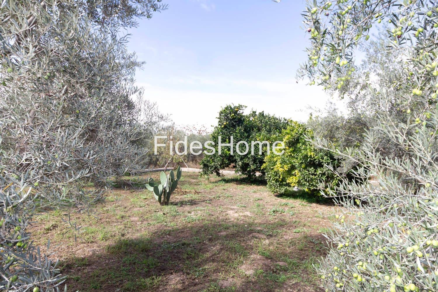 Undeveloped Land for sale in Durcal - € 68,000 (Ref: 9337365)