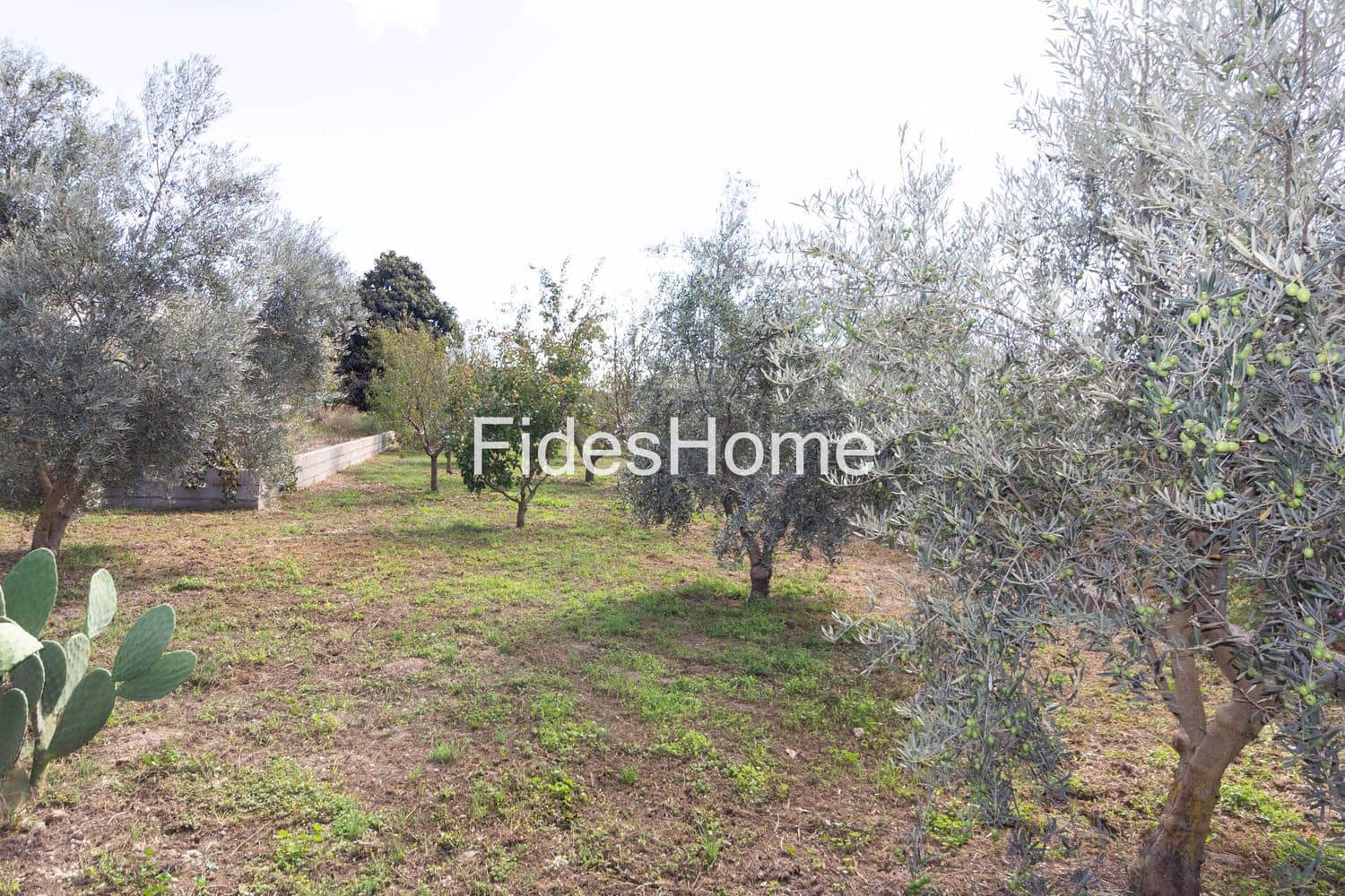Undeveloped Land for sale in Durcal - € 68,000 (Ref: 9337365)