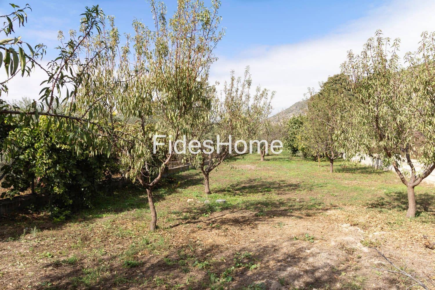 Undeveloped Land for sale in Durcal - € 68,000 (Ref: 9337365)