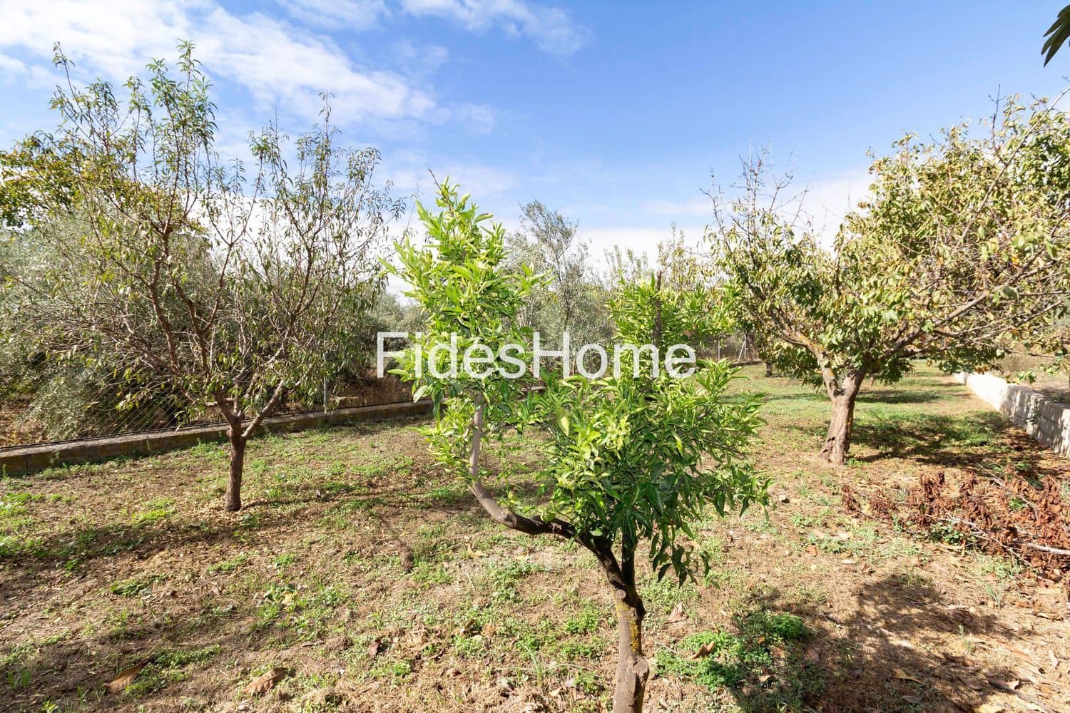 Undeveloped Land for sale in Durcal - € 68,000 (Ref: 9337365)