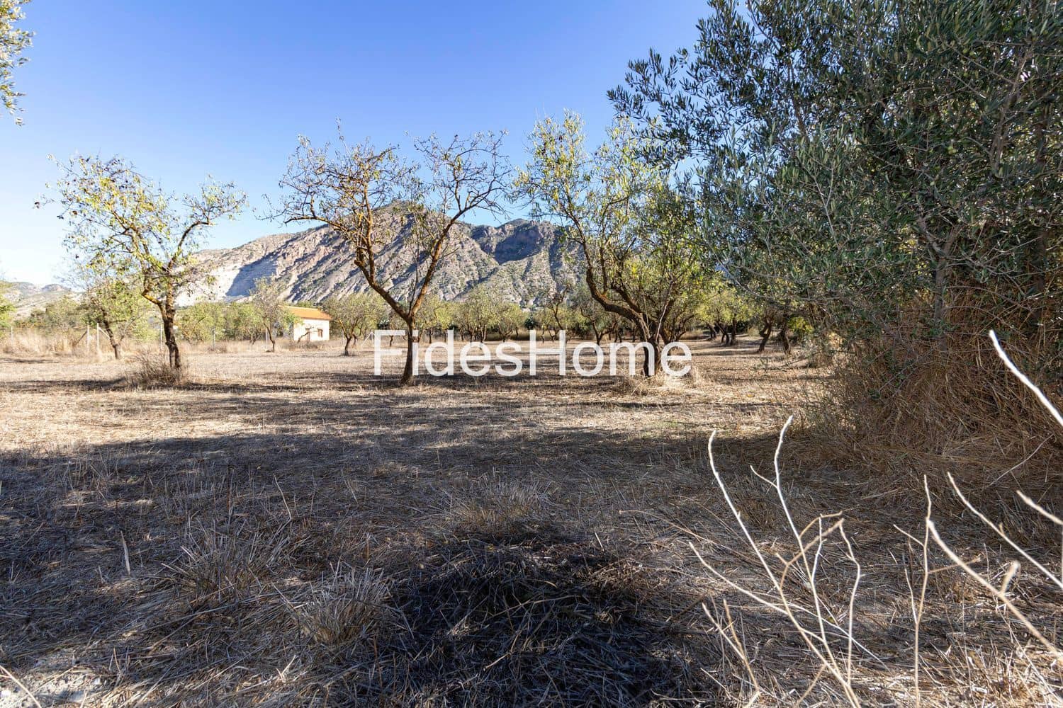 Mark till salu i Niguelas - 45 000 € (Ref: 9371215)