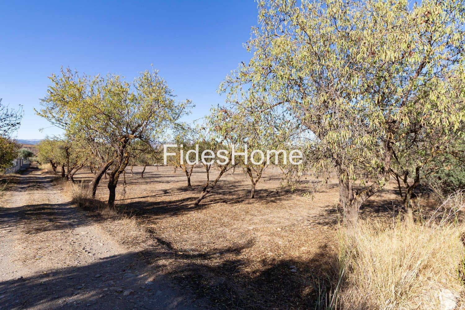 Mark till salu i Niguelas - 45 000 € (Ref: 9371215)