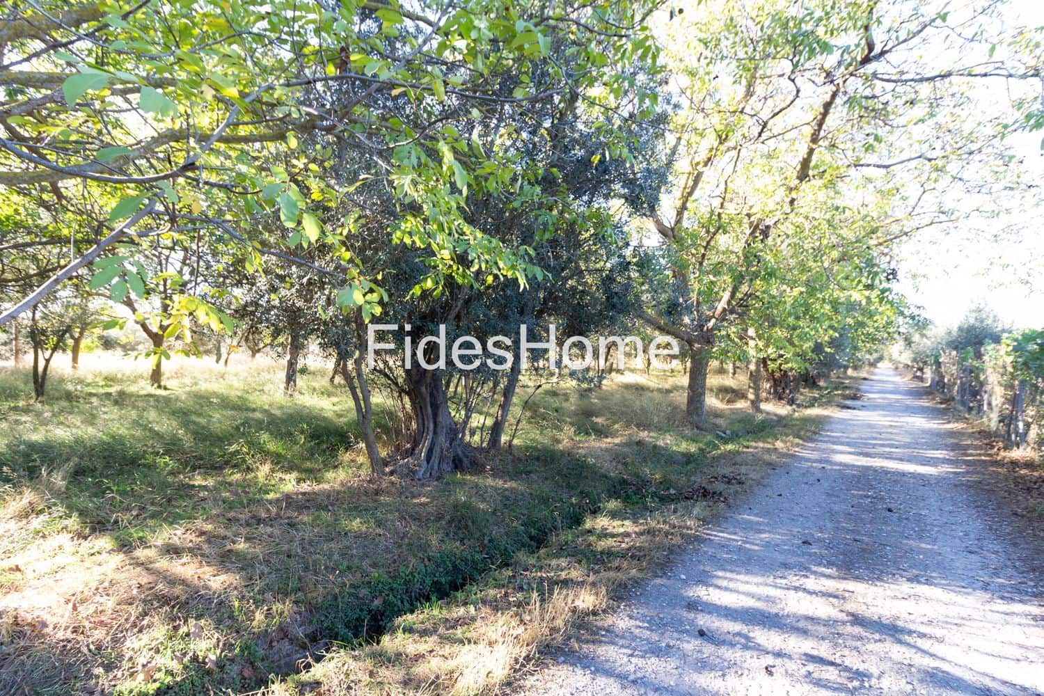 Mark till salu i Acequias - 65 000 € (Ref: 9371218)