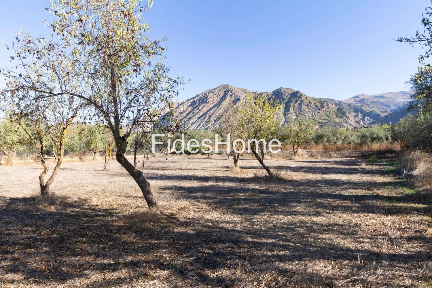 Grond te koop in Acequias - € 25.000 (Ref: 9371219)