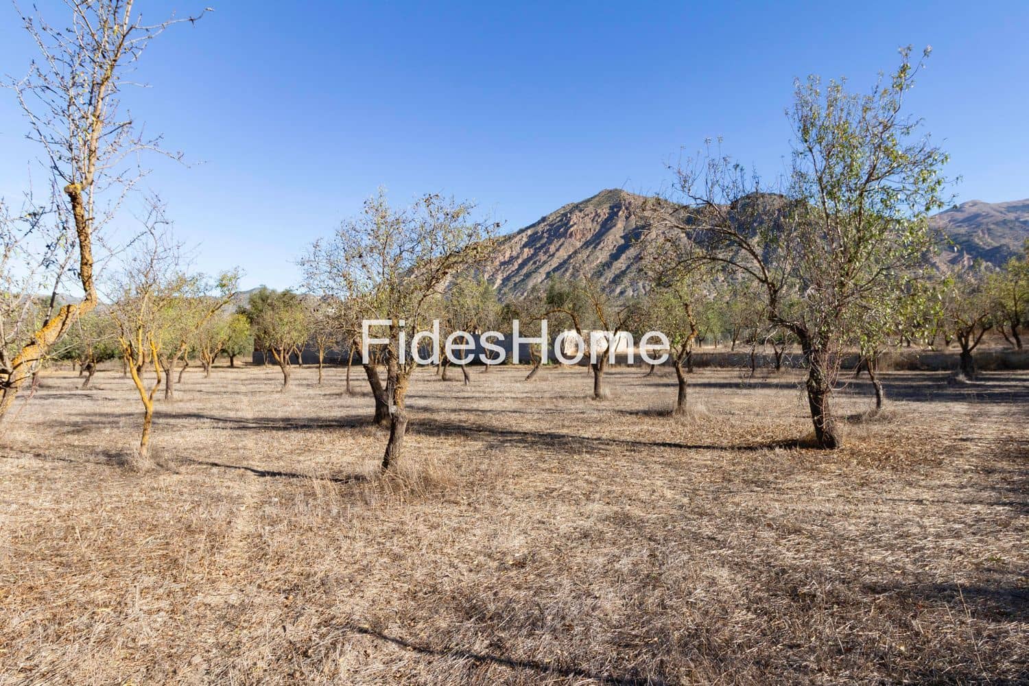 Grond te koop in Acequias - € 25.000 (Ref: 9371219)