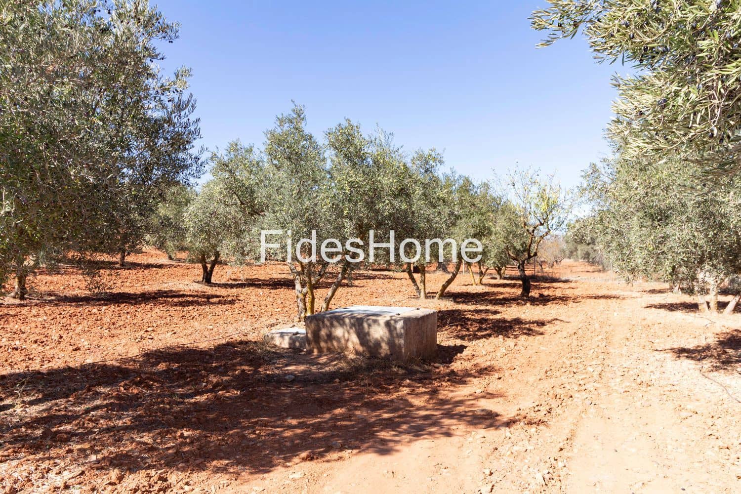 Ubebygd land til salgs i Niguelas - € 195 000 (Ref: 9384995)