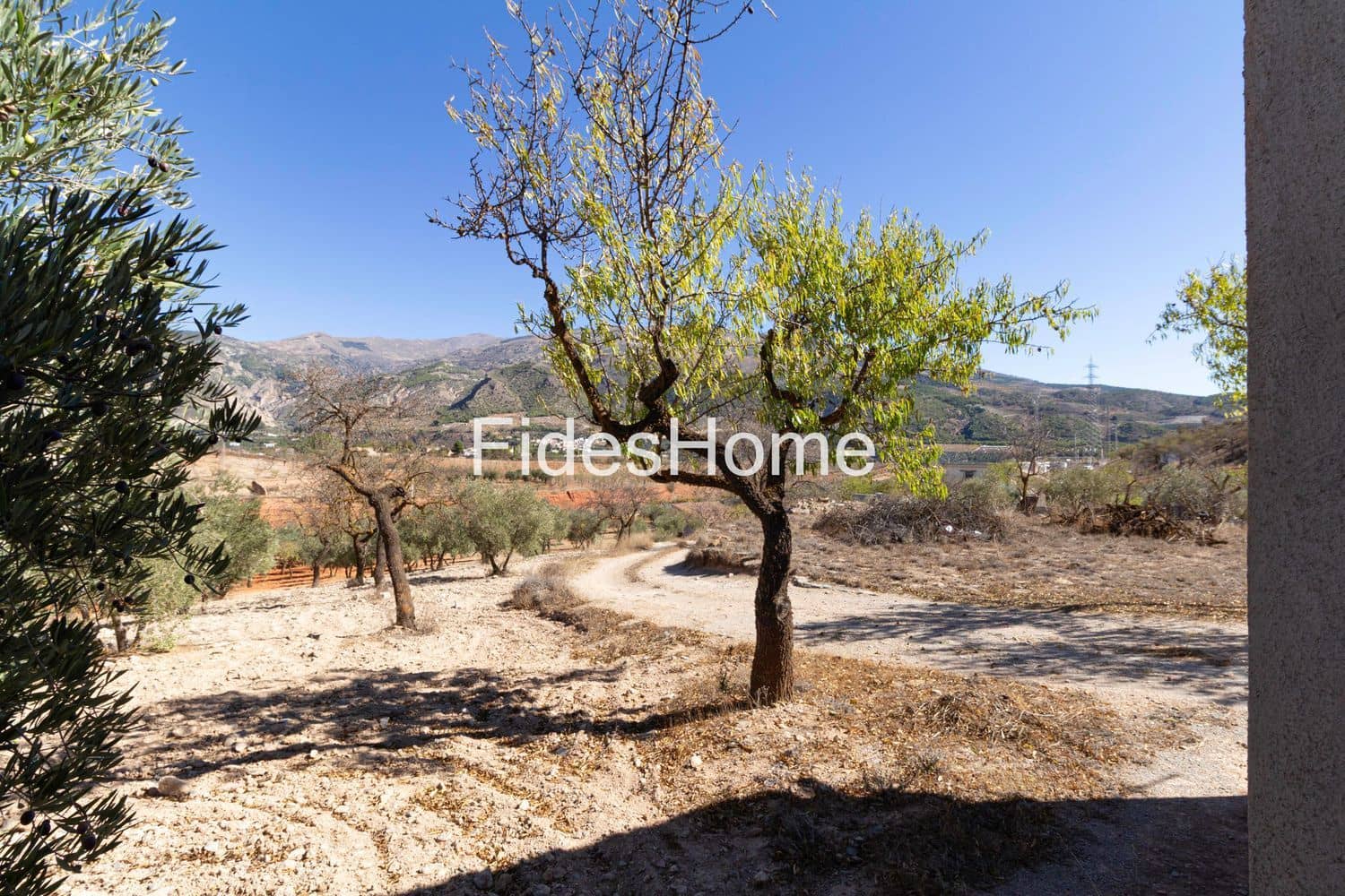 Ubebygd land til salgs i Niguelas - € 195 000 (Ref: 9384995)
