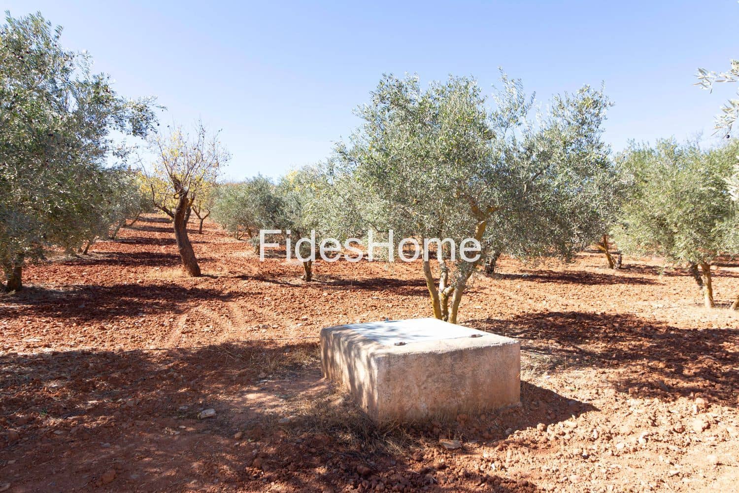 Ubebygd land til salgs i Niguelas - € 195 000 (Ref: 9384995)