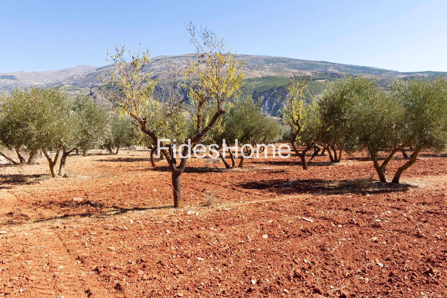 Ubebygd land til salgs i Niguelas - € 195 000 (Ref: 9384995)