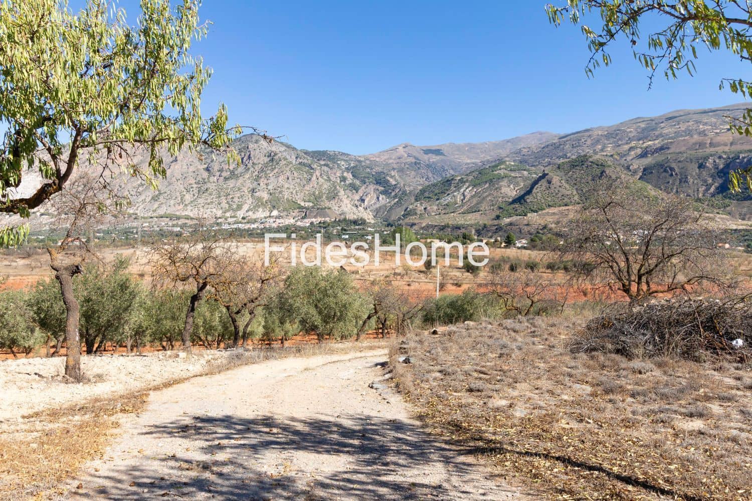 Ubebygd land til salgs i Niguelas - € 195 000 (Ref: 9384995)