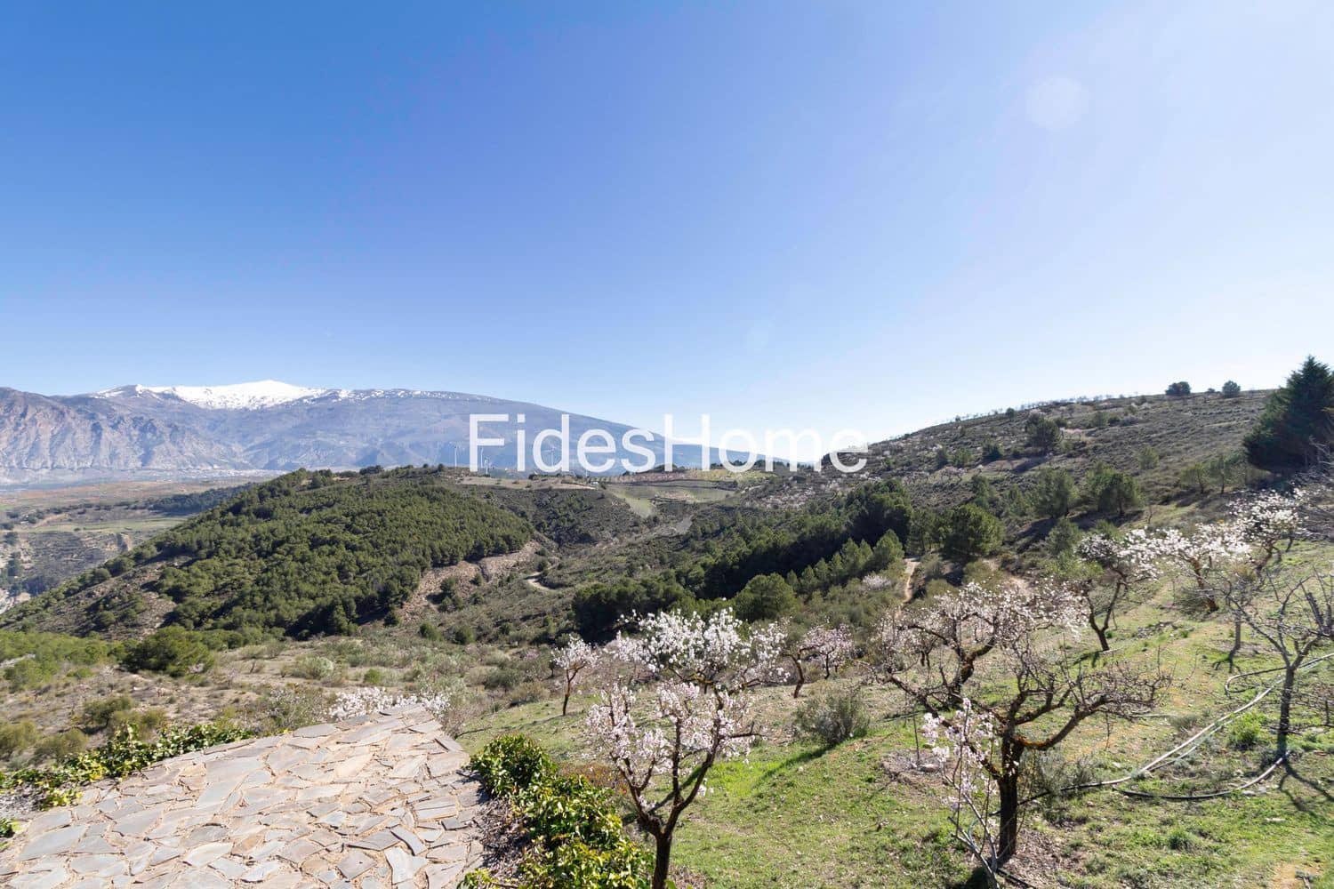 3 makuuhuone Maalaistalo myytävänä paikassa Villamena mukana uima-altaan 
autotalli - 875 000 € (Ref: 9629632)