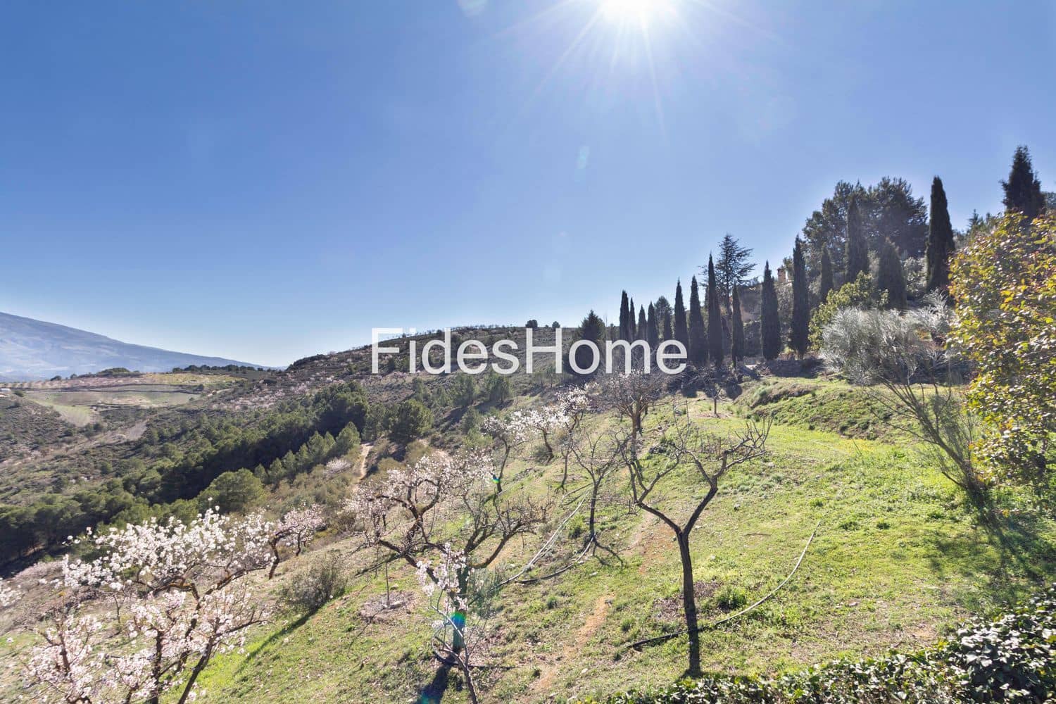 3 makuuhuone Maalaistalo myytävänä paikassa Villamena mukana uima-altaan 
autotalli - 875 000 € (Ref: 9629632)