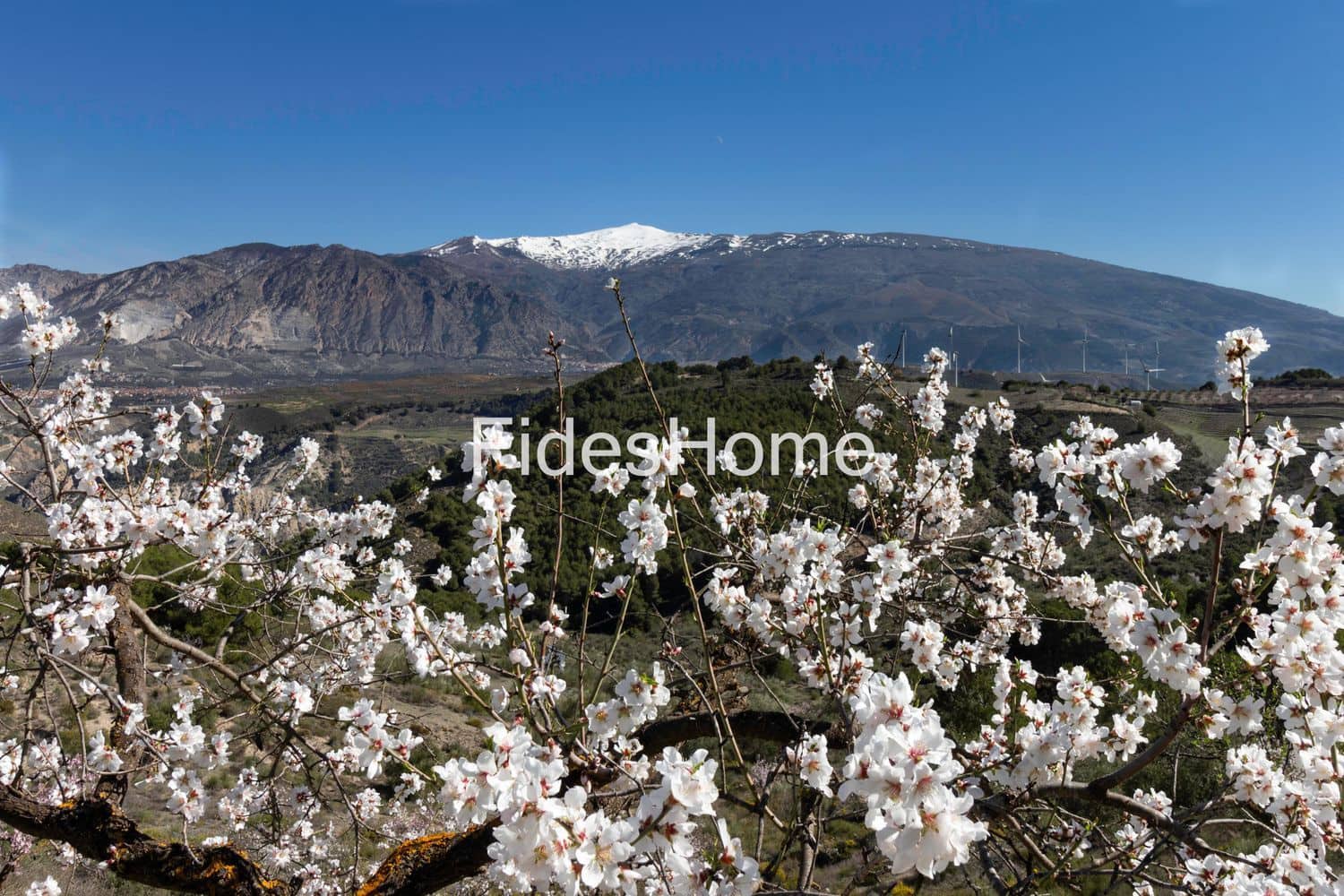 3 makuuhuone Maalaistalo myytävänä paikassa Villamena mukana uima-altaan 
autotalli - 875 000 € (Ref: 9629632)