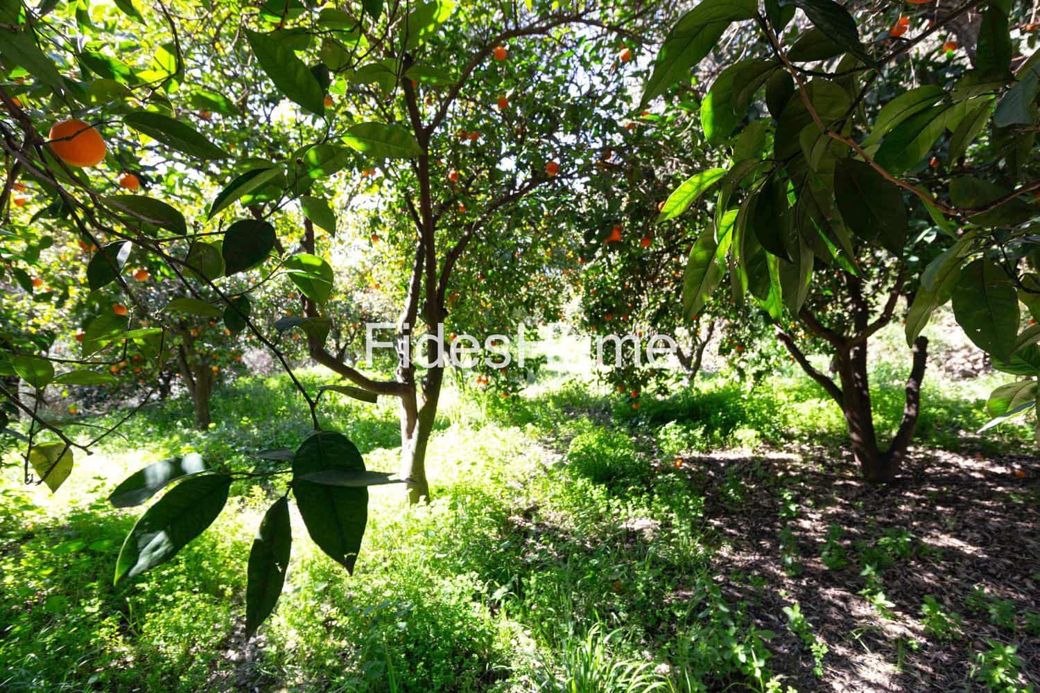 Ubebygd land til salgs i Mondujar - € 18 000 (Ref: 9690026)