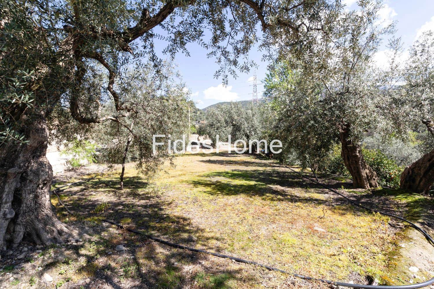 Ubebygd land til salgs i Mondujar - € 18 000 (Ref: 9690026)