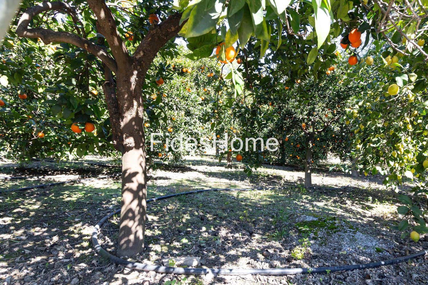 Ubebygd land til salgs i Mondujar - € 18 000 (Ref: 9690026)