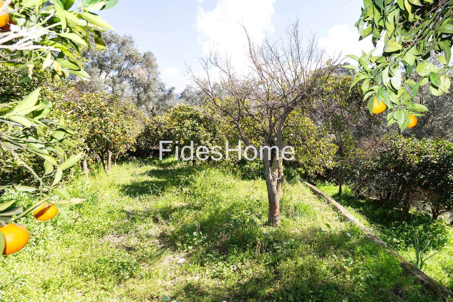 Ubebygd land til salgs i Mondujar - € 18 000 (Ref: 9690026)