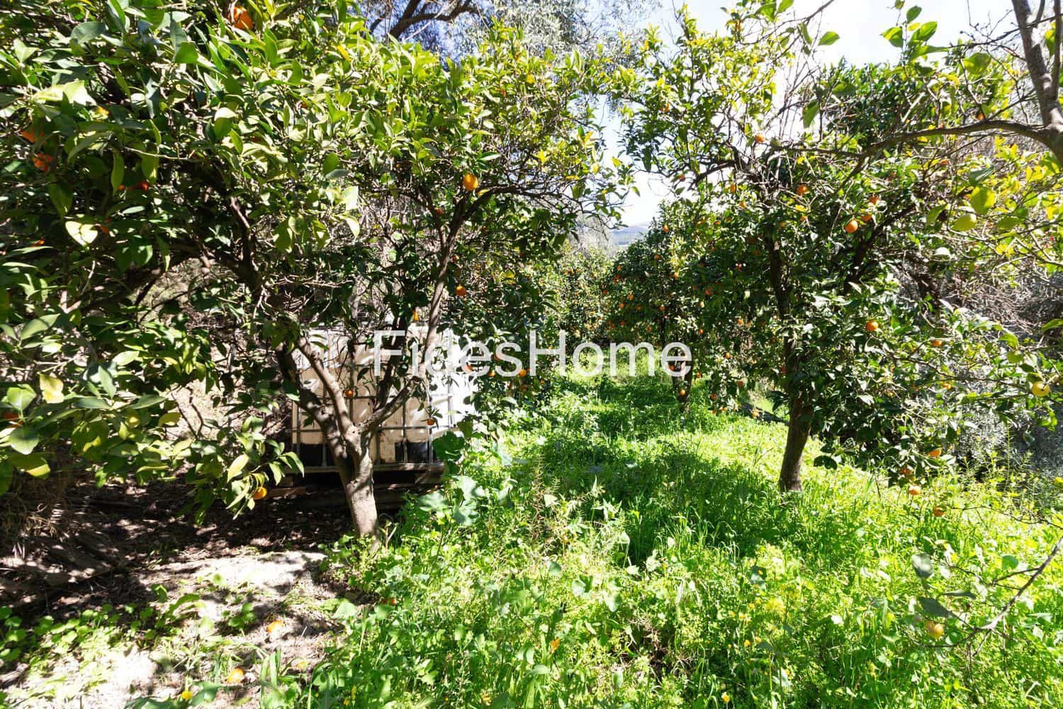 Ubebygd land til salgs i Mondujar - € 18 000 (Ref: 9690026)